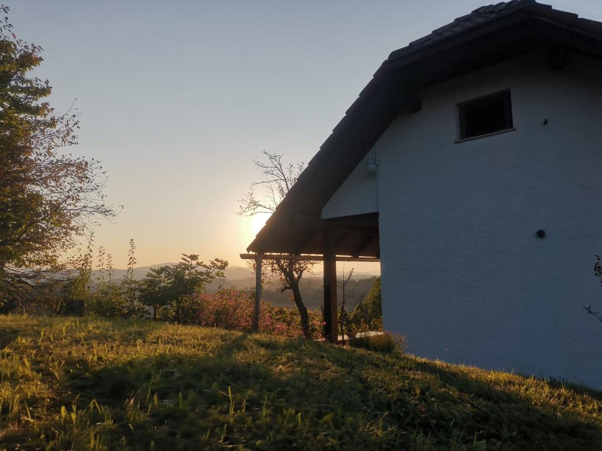 Apartma Pusa Pesnica pri Mariboru Exterior photo